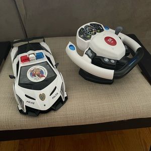 Radio-controlled cat